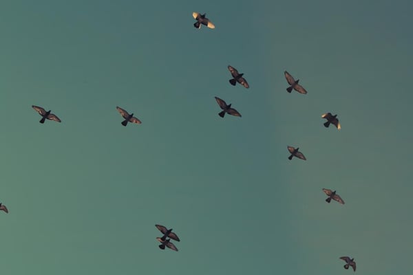 Introducing AWS Database Migration Service